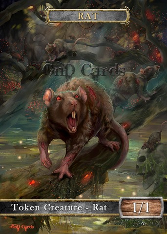 Rat #7